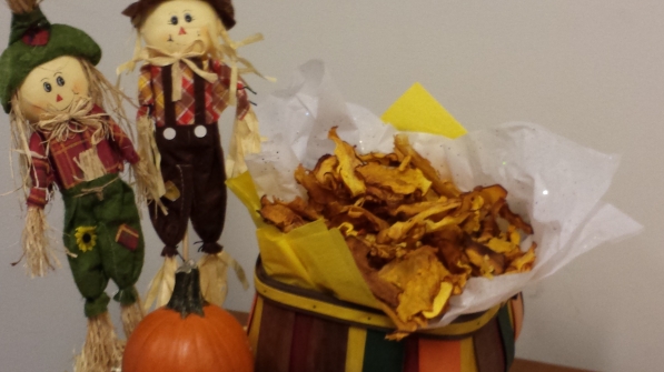 pumpkin chips